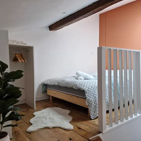 Hyper Center Apartment *